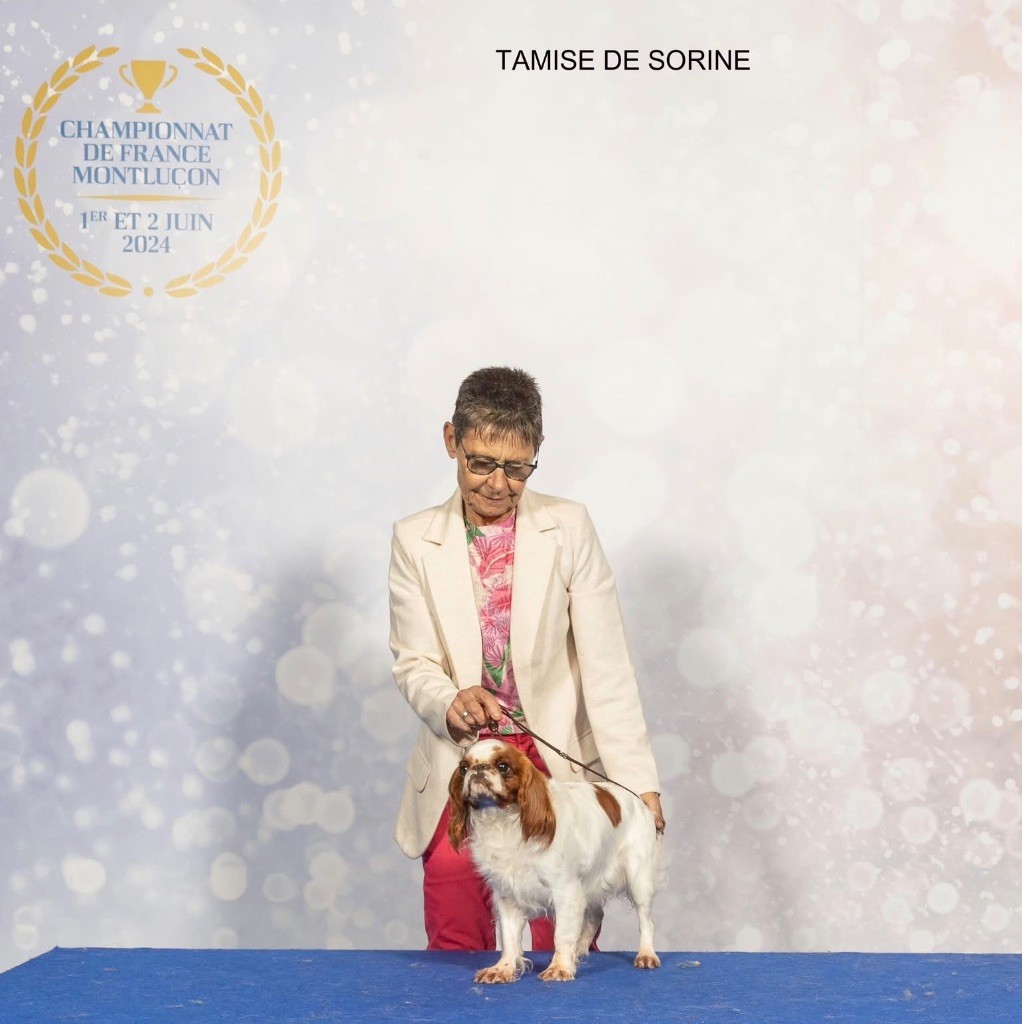 CH. de Sorine Tamise